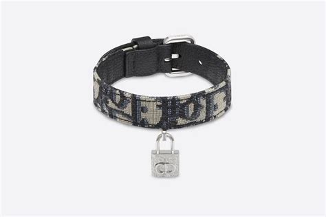 dior puppy|expensive dog collar.